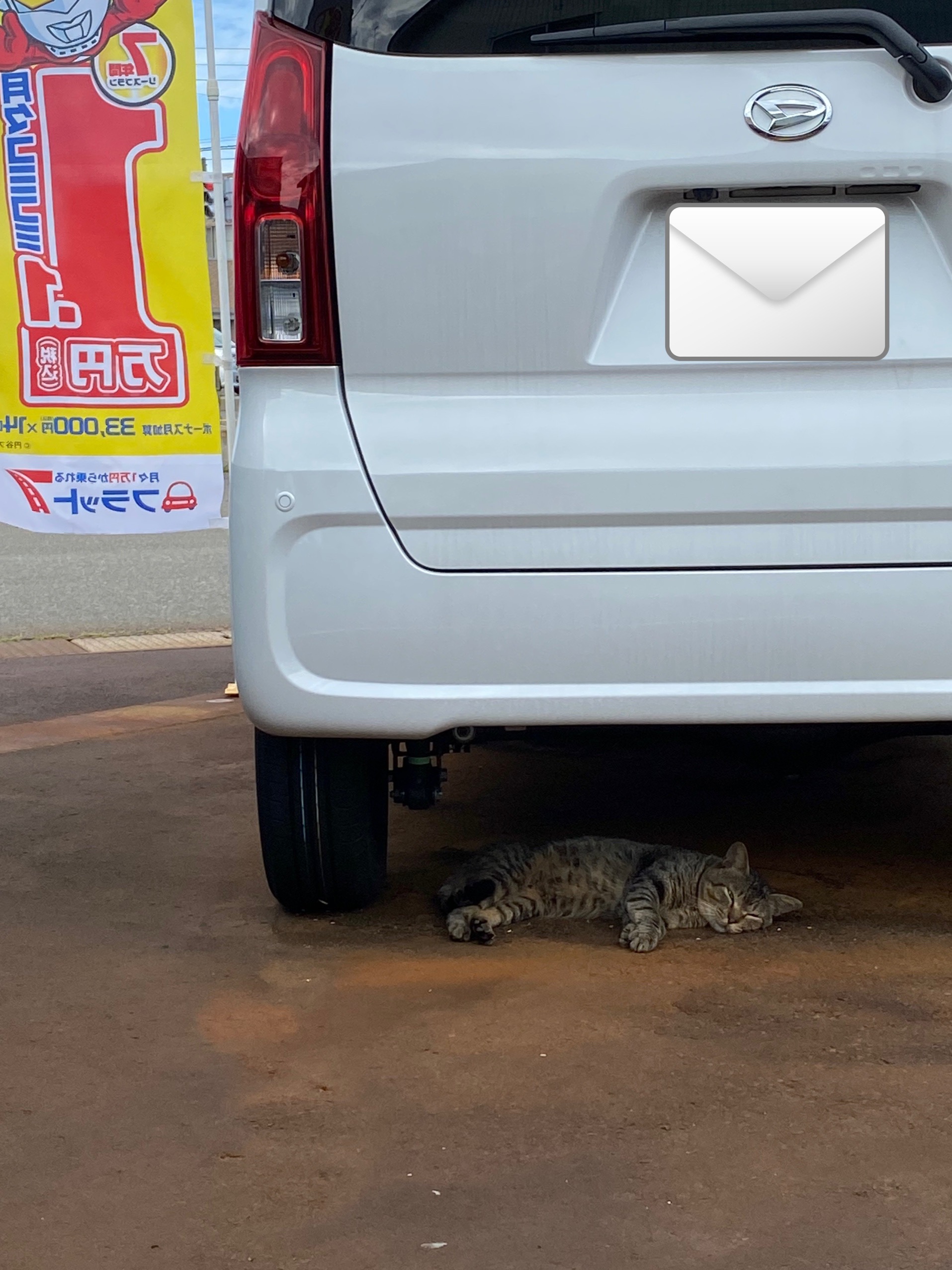 開店前からのお客様