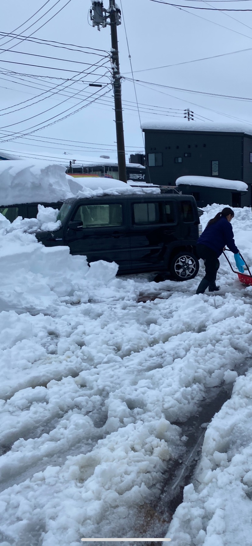 大雪酷かったですね。